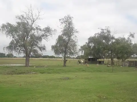 Terreno en Venta de 60000,0 m2