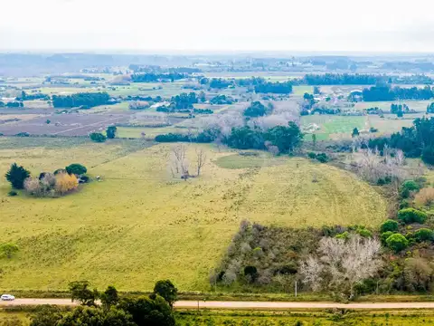 Venta de campo 3Ha. en Rincon de Pando, Canelones