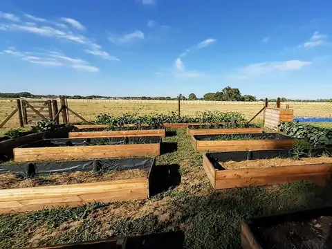 VENTA CHACRA 3,6 HECTÁREAS EN NAVARRO