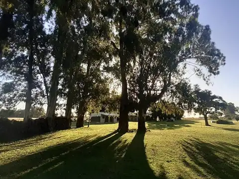 Quinta en Venta de 8 dormitorios