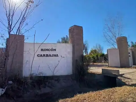 Lote en venta. La Colonia. Junín