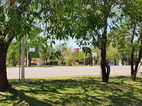 Ricardo Pedroni 2400