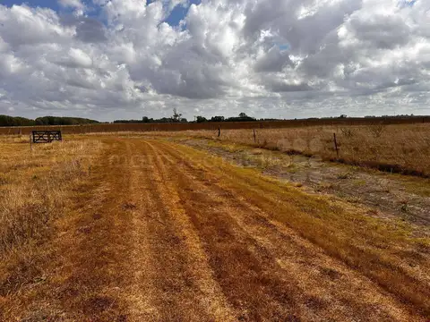 Terreno en Venta de 16675,0 m2