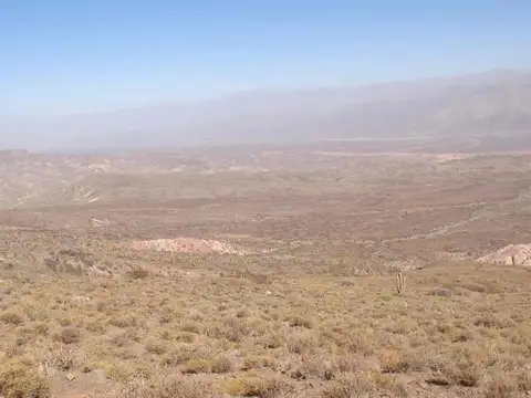 Cachi. Ruta Nacional 40 4500