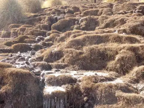VENTA FINCA 4700HA RUTA PROVINCIAL 40 CACHI