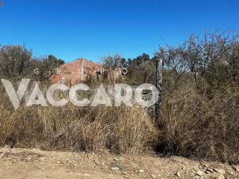 Barro Azul 100