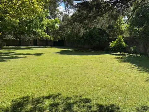 Terreno en Venta 61  mts Fondo