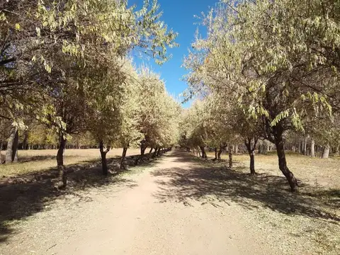 Terreno en Venta en Uspallata, USD 20.000