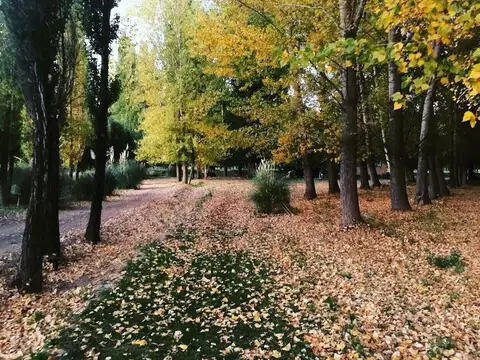 Venta de lote en Uspallata 2000 mt Barrio Privado