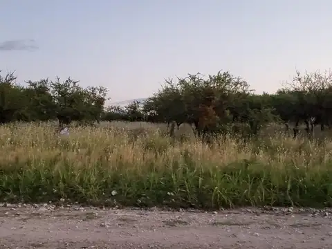 Terreno en Venta, FOS 20