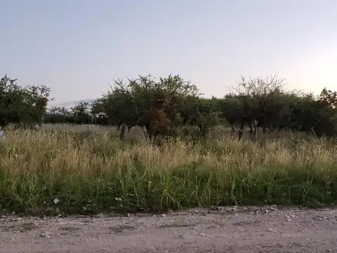 Terreno en Venta en Barranca Colorada, USD 79.000