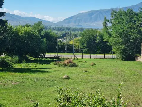 VENTA TERRENO TAFÍ DEL VALLE ZONA COMERCIAL