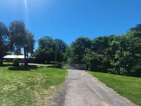 Terreno en Venta 126  mts Fondo