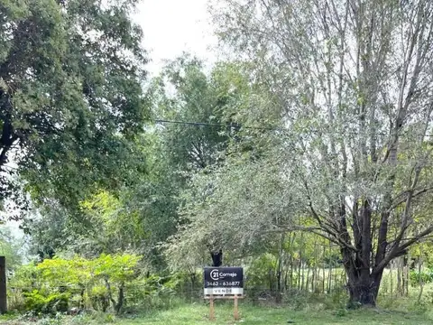 TERRENO EN VENTA - MAGGIOLO