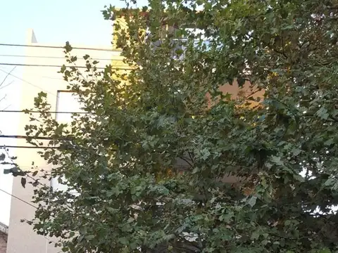 (MBA-MBA-56) Departamento - Venta - Argentina, Quilmes Oeste - Saenz Peña 1138