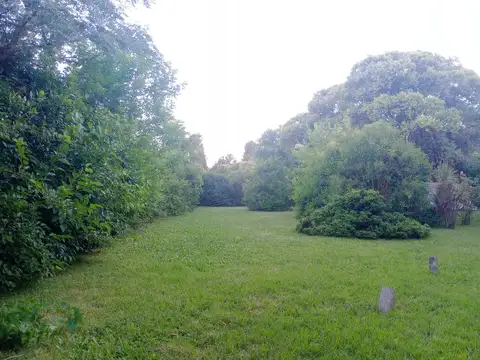 Terreno en Venta 44  mts Fondo