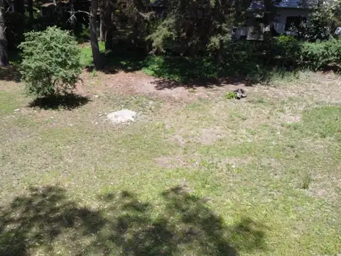 Alfonso Cabral Y Comodoro Urtubey