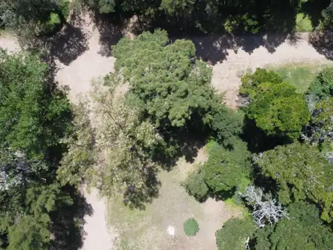 Terreno en Venta de 500,0 m2