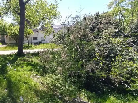 Paseo 126 500