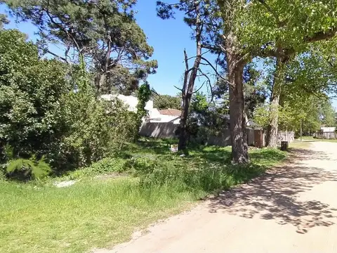 Paseo 126 500