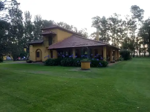 VENTA DE HERMOSA QUINTA 6 HA SOBRE RUTA 2 CHASCOMÚS