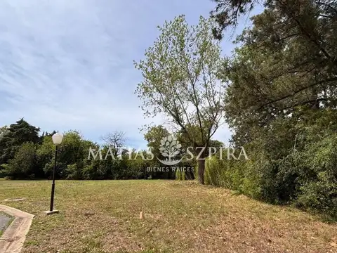 Lote . | Pio XII 3000