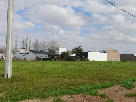Saavedra