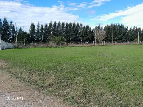 VENTA-LOTE 2.980 M2-BARRIO SEMICERRADO-CHASCOMÚS