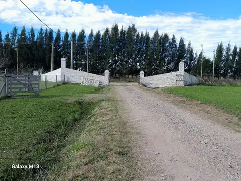 Prudencio Ortiz de Rosas y Jerónimo Costas.