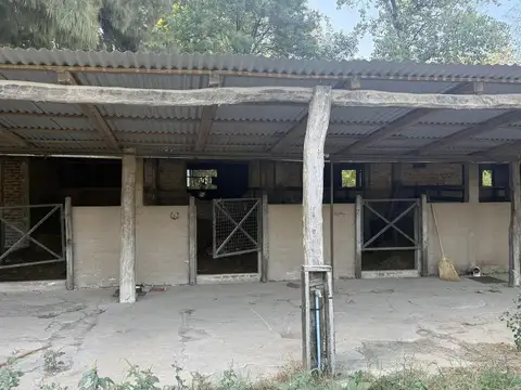 Campo en Alquiler de 6  ha