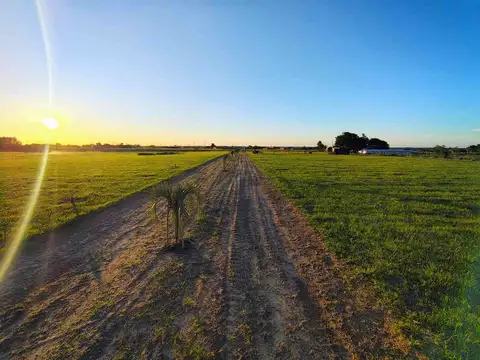 Terreno en Venta en Goya, $ 10.500.000