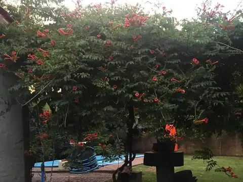 Ramirez 800