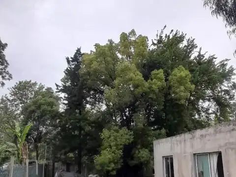 Calle Nigromante 555