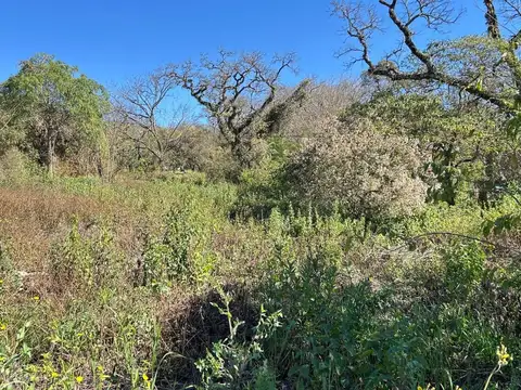 Terreno en venta