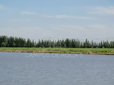 Terreno en Venta en Campos De Roca, USD 21.000