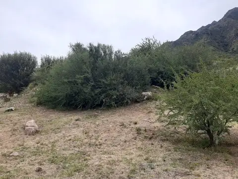 Terreno en Venta de 857,0 m2