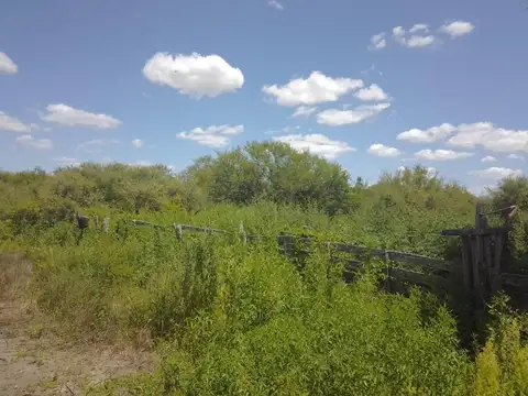 El Arbolito Lote C