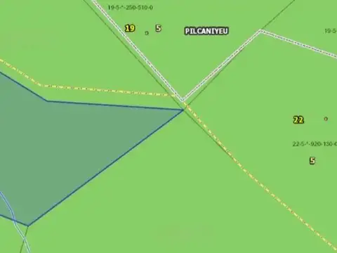 campo en  venta pilcaniyeu