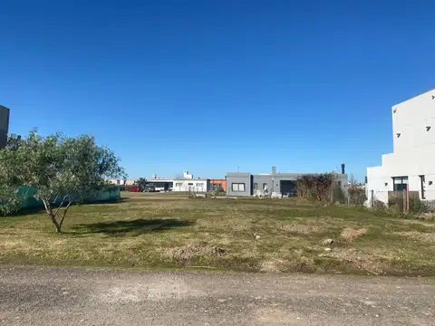 Ensueño