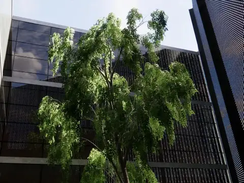 Avenida Jorge Newbery 6800