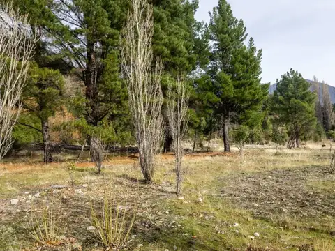 Pasaje La rinconada 6000