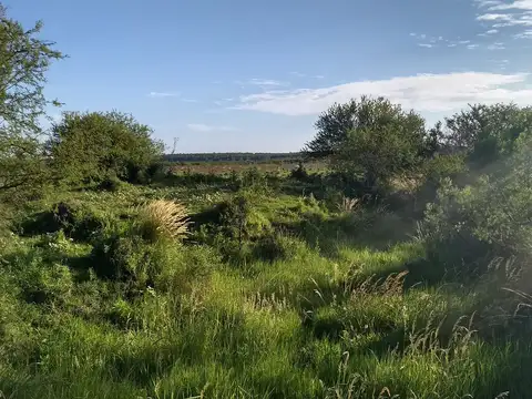 Campo en Venta de 343  ha