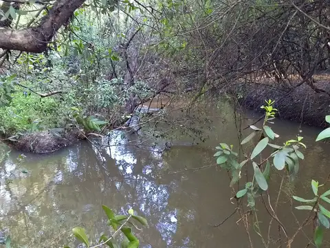 Campo en Venta con Alambrado