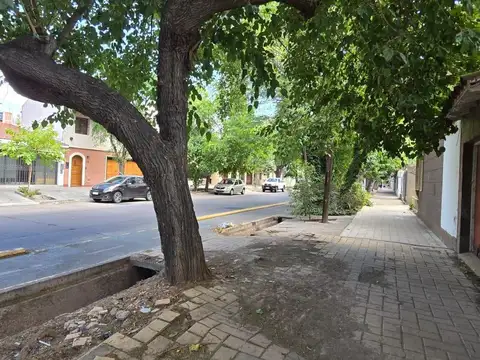 Calle Martinez de Rosas  al 1500