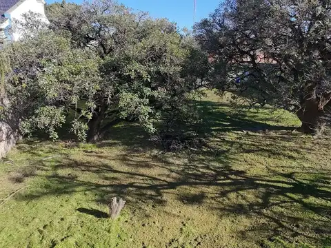 Terreno en Venta en Jorge Cura, USD 110.000