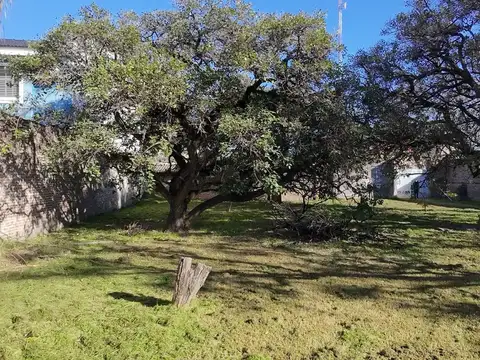 TERRENO EN VENTA BARRIO JORGE CURA