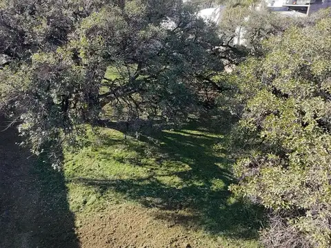 TERRENO EN VENTA BARRIO JORGE CURA