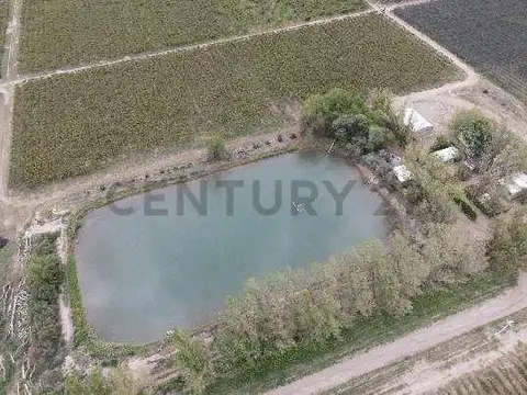 Campo en Venta en Colonia Monte Caseros, San Martín