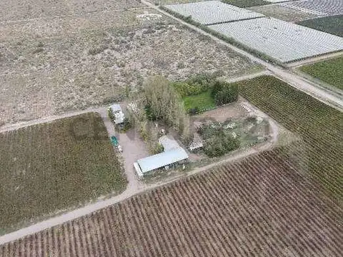 VENTA Fincas Montecaseros, San Martín, Mendoza".