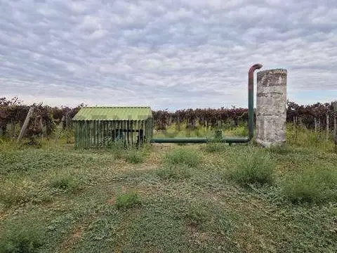 VENTA Fincas Montecaseros, San Martín, Mendoza".